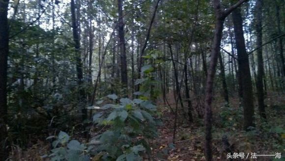 民间故事灵异鬼事,民间发生的灵异鬼故事