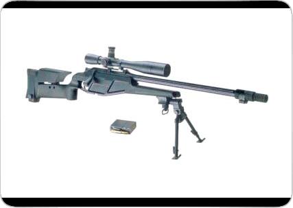 世界十大狙战枪神,世界排名前十的击狙枪