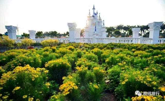 一秒钟搞定“花痴”攻略，别说我没帮你~