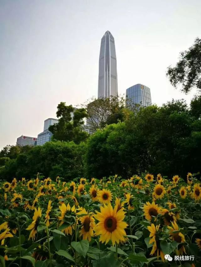 一秒钟搞定“花痴”攻略，别说我没帮你~