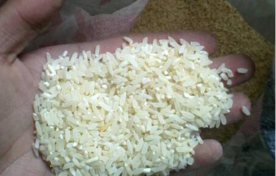 夏天怎么才能不让大米生虫,夏天怎么让大米不生虫不发霉