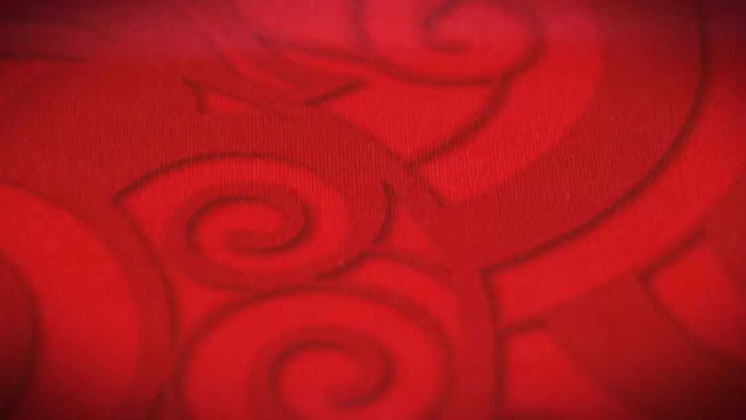 舒莱狮最新款足球服,舒莱狮少年全新战袍