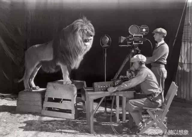 希拉里和本拉登合影,希拉里本拉登