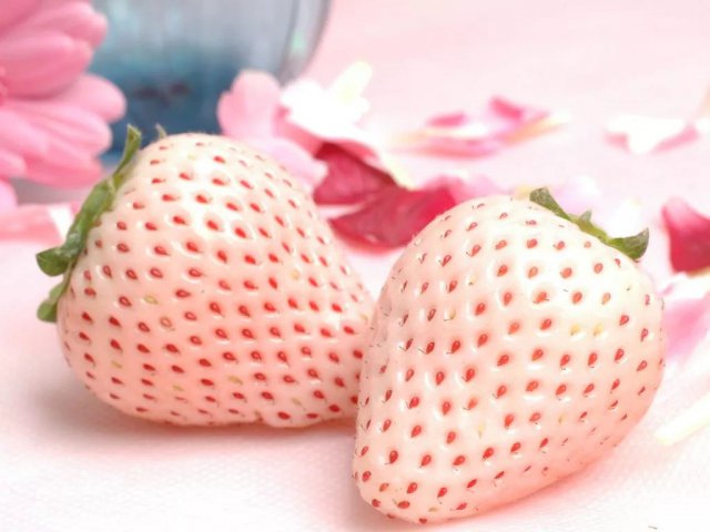 陈冠希吃的苹果,陈冠希吃的白草莓什么品种