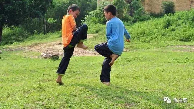 陈卫民：斗鸡（散文）