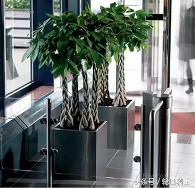 办公室风水简单易懂的招财法,办公室招财风水6大妙招