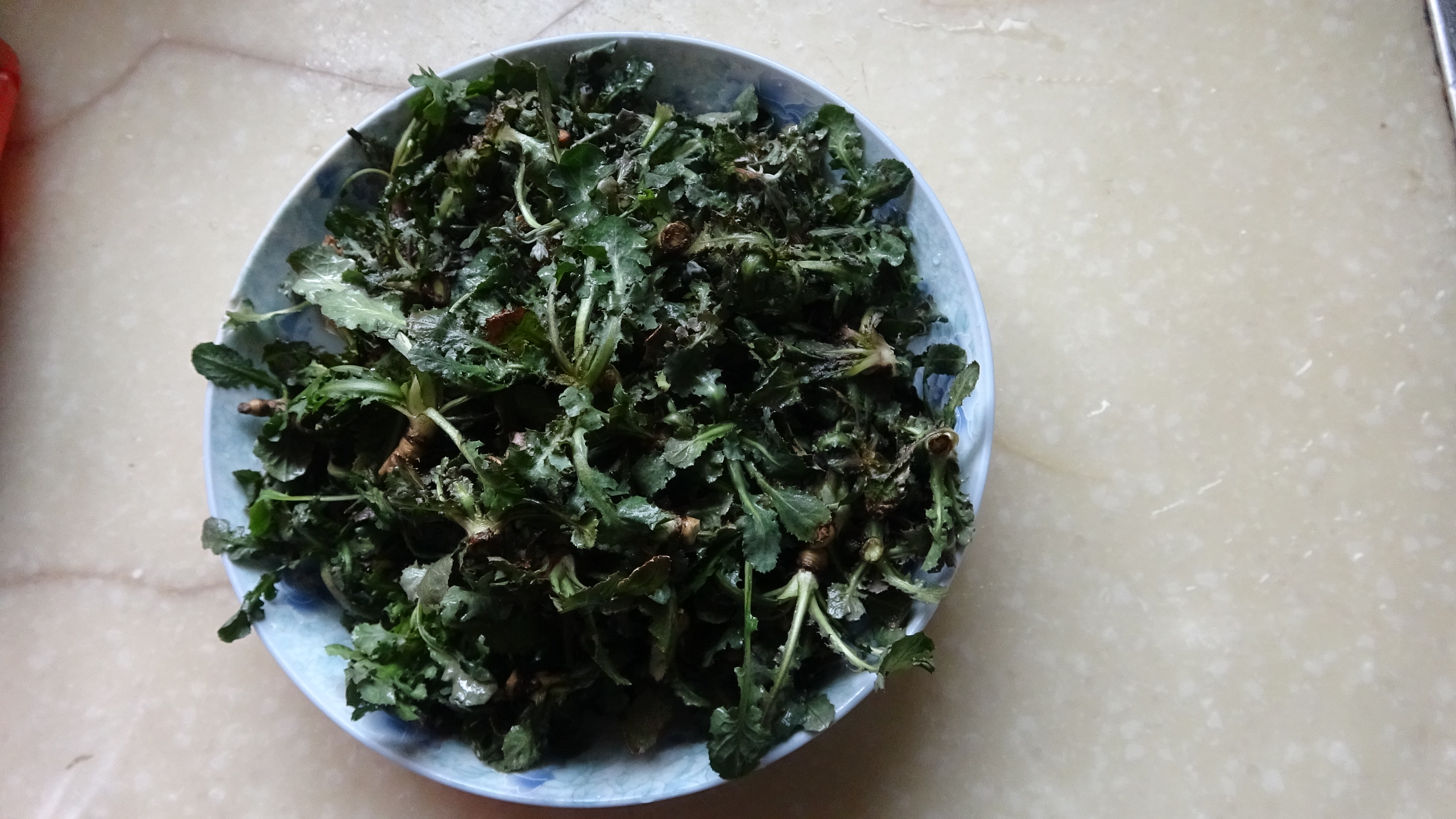 我的家在桃花山,我的家在桃花山全曲