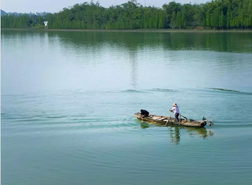 黄沙蚬新会,江门新会黄沙蚬季节