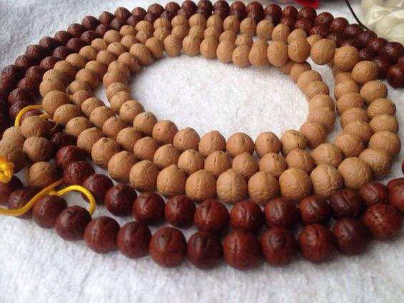 尼泊尔凤眼菩提手串怕什么,文玩说说