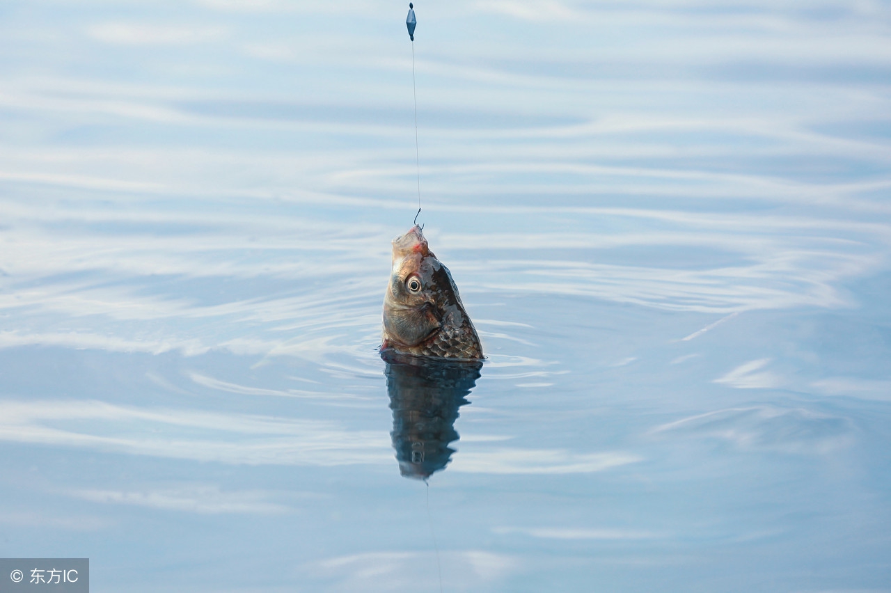 我爱前打教你如何使用前打竿
