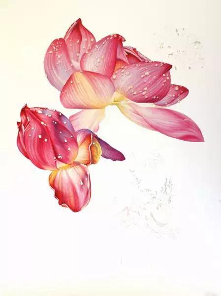 学画荷花和荷叶,荷花怎么画儿童简笔画