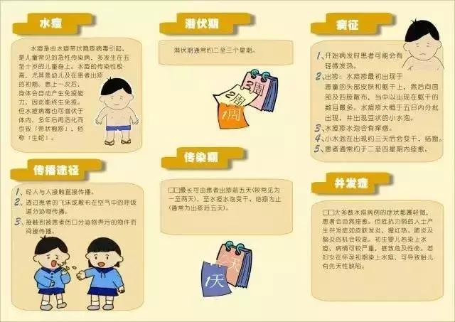 除四害消灭老鼠,治理四害老鼠