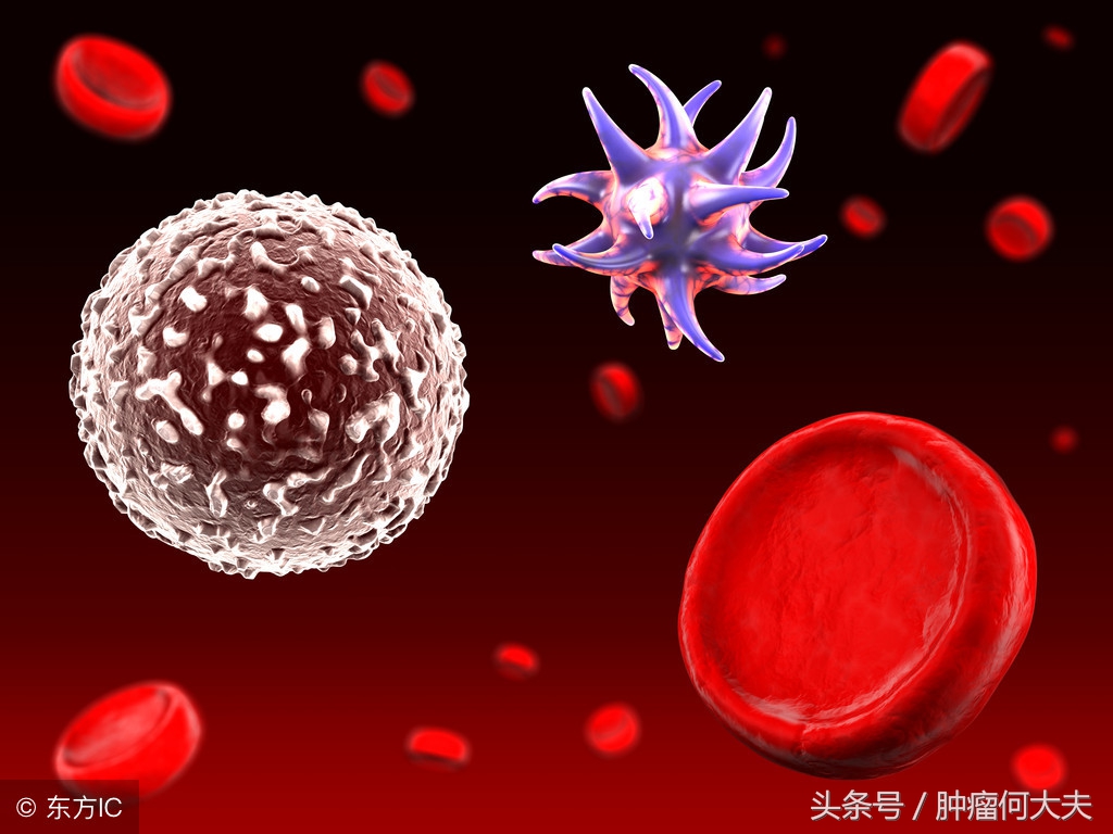 白细胞没有持续性增高是白血病吗,白细胞异常增高是白血病吗