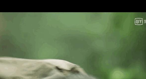 小李子主演的10部最赞的电影,小李子关于钻石的电影