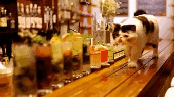 贵阳必须要去的酒吧,贵阳808club酒吧