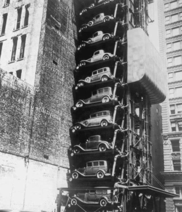 站着的霍金,站着的霍金的照片