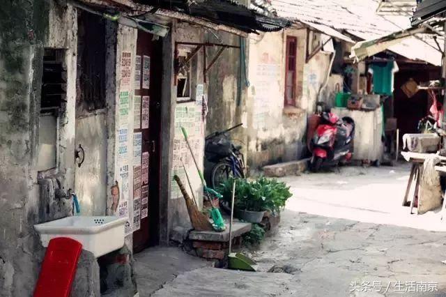 春天南京有哪些美景的地方,南京春天最值得去的地方