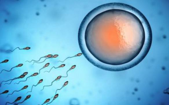 胜者为王败者为奴隶,胜者为王败者为奴