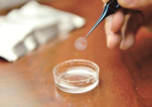 蚕丝跟蛛丝有什么区别,蚕丝与蜘蛛丝区别视频