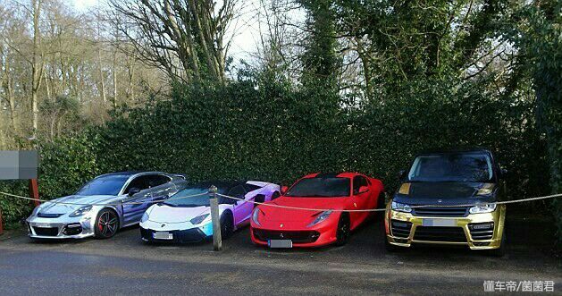 总价值85万英镑，美羊羊秀豪车