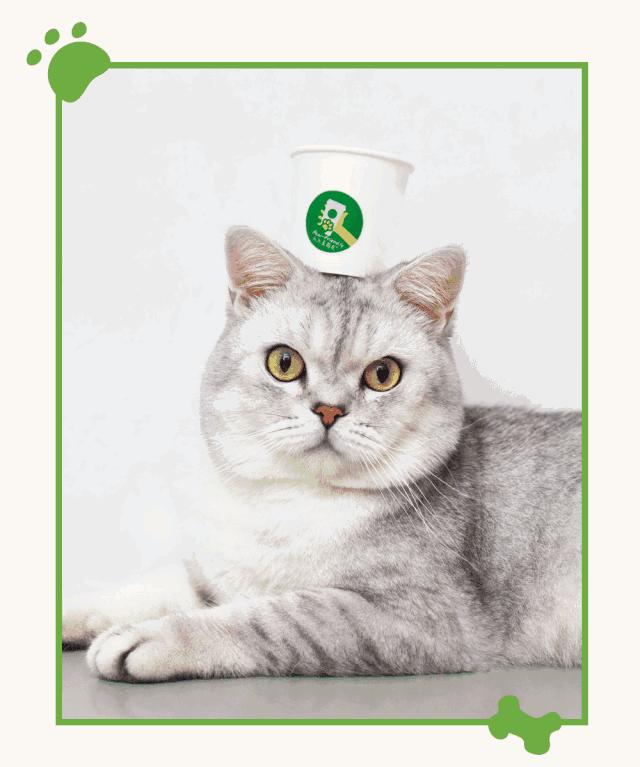 营销周报｜天猫超市一小时达布局20城市；HM宣布王源为代言人