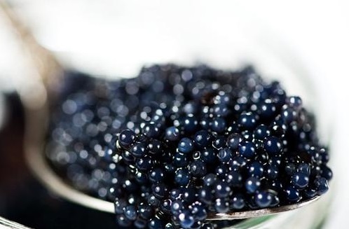 最顶级六种鱼子酱,正宗鱼子酱有哪几种