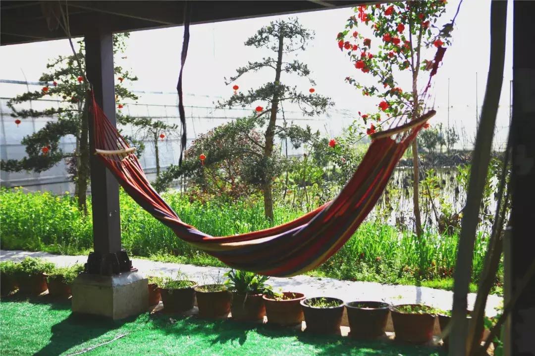 草莓车厘子芒果榴莲菠萝蜜猕猴桃,热带水果芒果榴莲火龙果