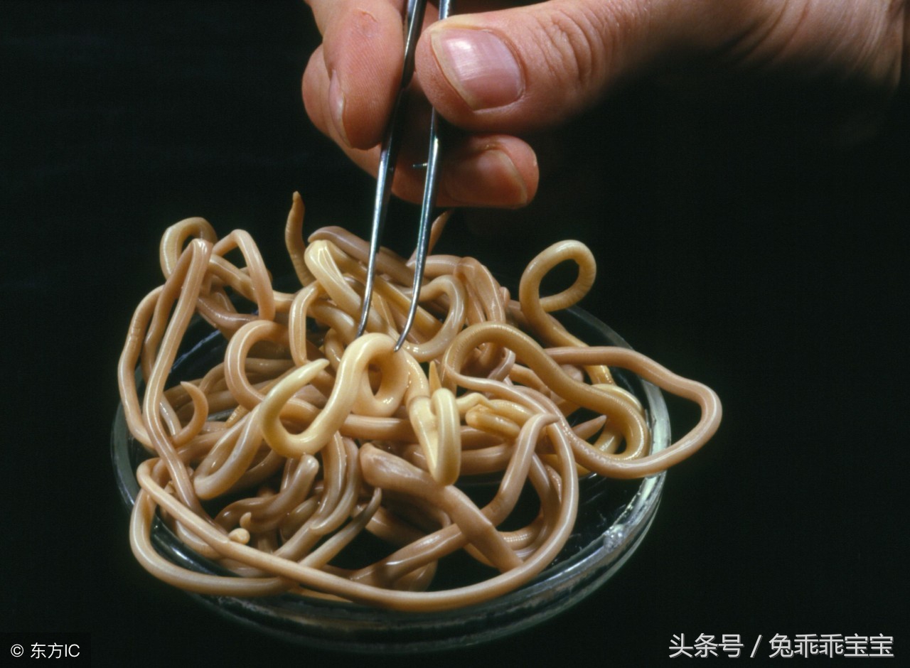 6岁孩子肚子疼恶心呕吐是怎么了,宝宝恶心想吐拉肚子还肚子疼