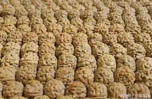 如何挑选小金刚菩提手串,小金刚菩提怎么盘玩