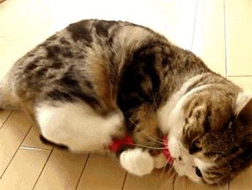 最近在家或外出都要小心它！一周内已有多人中招进了医院