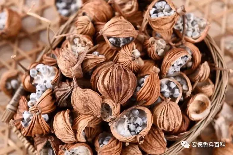 潜江油焖大虾香料哪个比较正宗,油焖大虾小龙虾香料油怎么熬