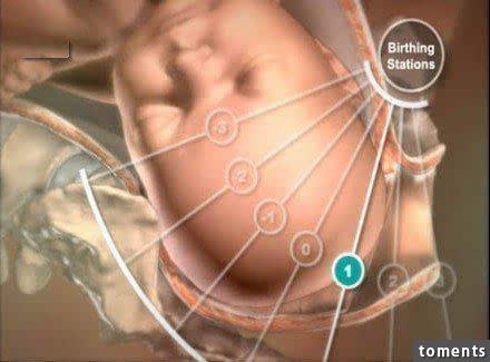 令人震撼!7张图看懂分娩过程,请珍惜那个为你生孩子的女人