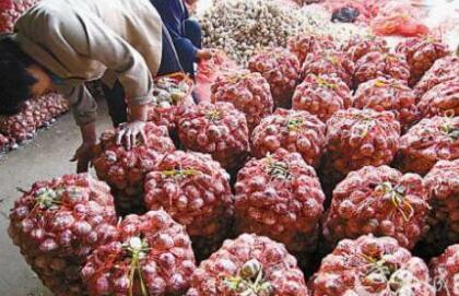 山东大蒜最新价格今天下午金乡莱芜苍山蒜价行情