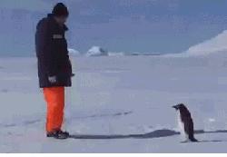 为啥肾虚会腰痛,老年人腰痛的常见原因