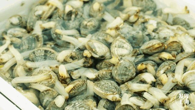 90多年前的上海菜市场,上海浦东新区最大的菜市场