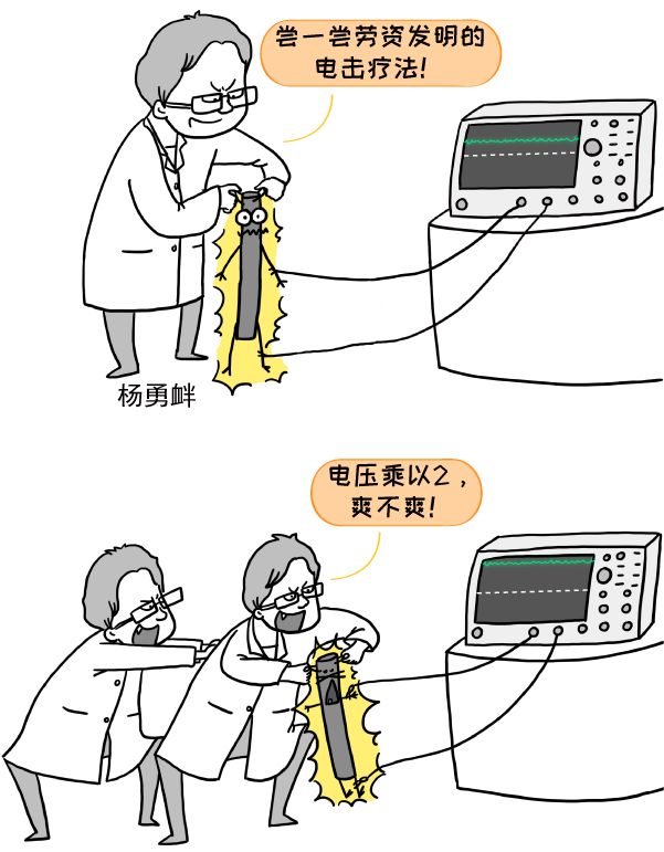 动动鼠标,超导量子处理器