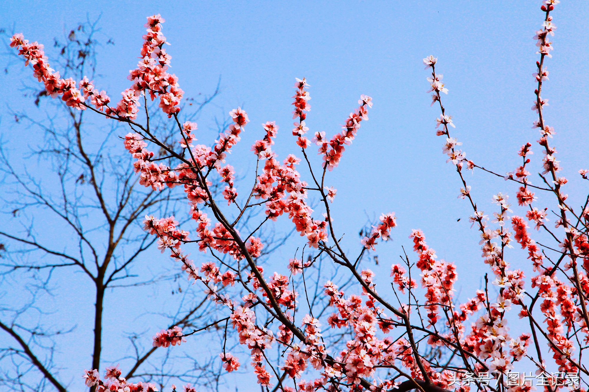 山西吉县人祖山景区,山西吉县人祖山介绍