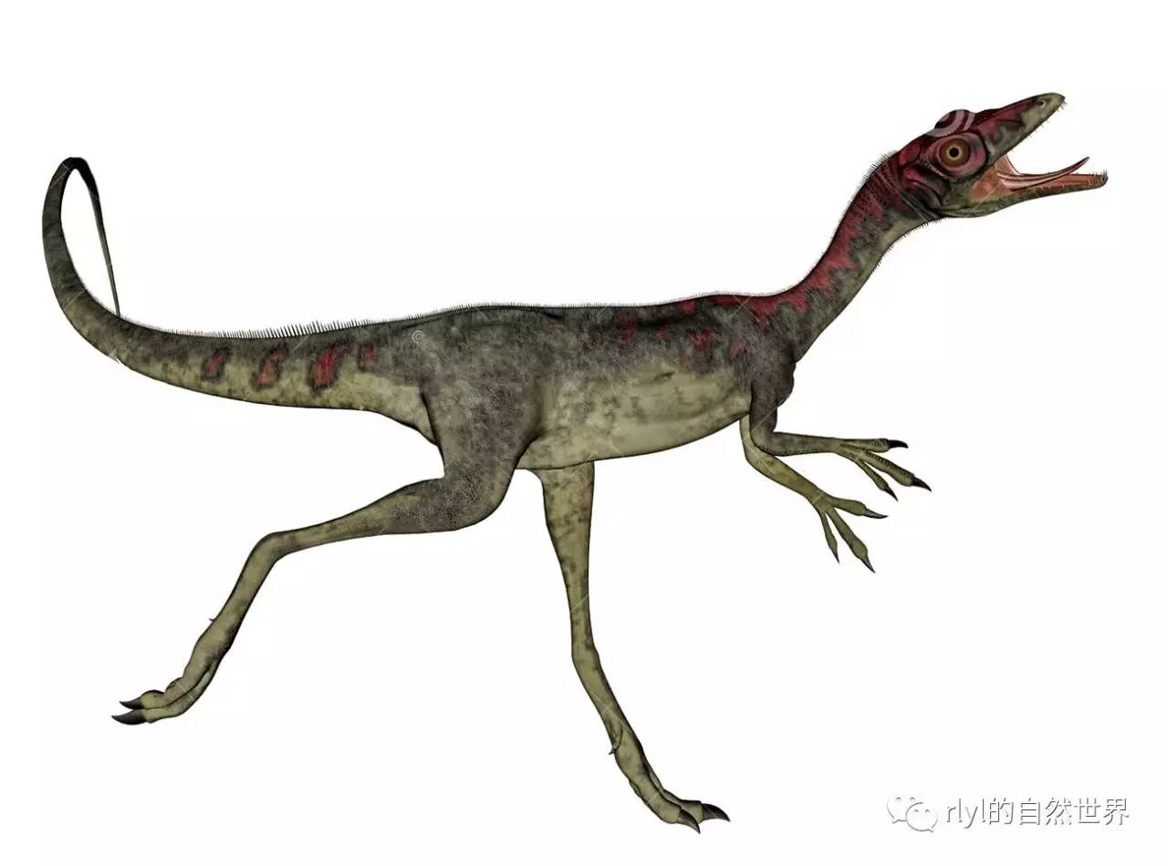 世界上最强的十名恐龙是什么恐龙,恐龙世界最强大的恐龙是什么恐龙