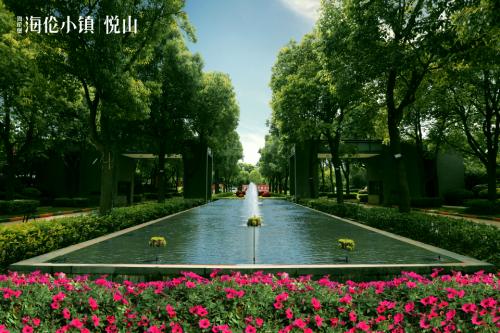 美得不像是实力派,美得不像真实风景