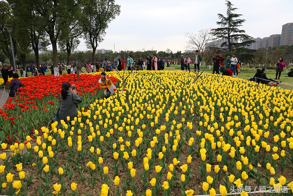 宁波院士公园最新消息,宁波院士公园现在花还开着吗
