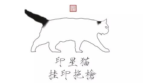 猫谱:因相成名,因名成谱《蓝毛毛找猫》24:猫出有名