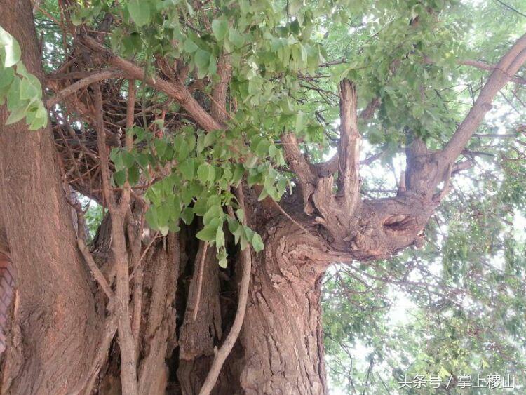 北朝壁画墓发现及考古始末,北朝考古博物馆纪录片