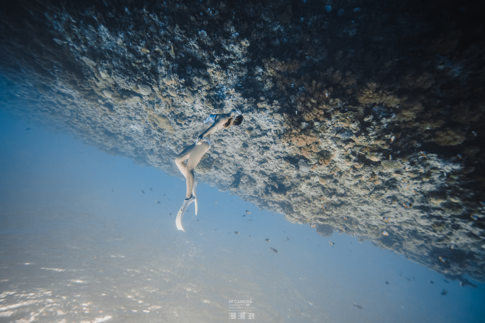 经常熬夜的人！一定要来帕劳看看！用帕劳蓝治愈你的失眠焦虑！