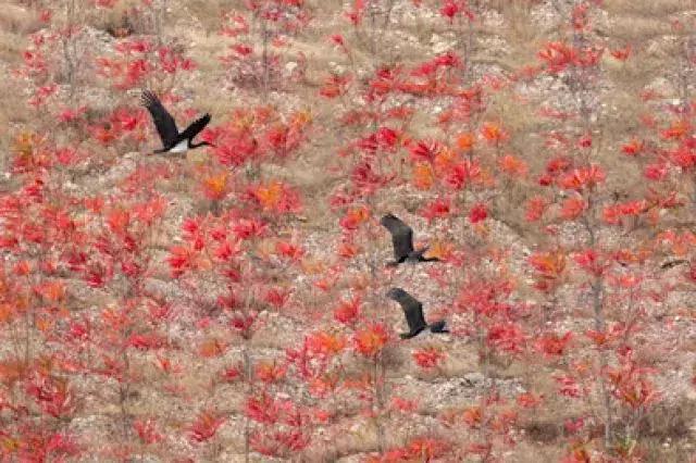 水映京城:千年古都水之梦