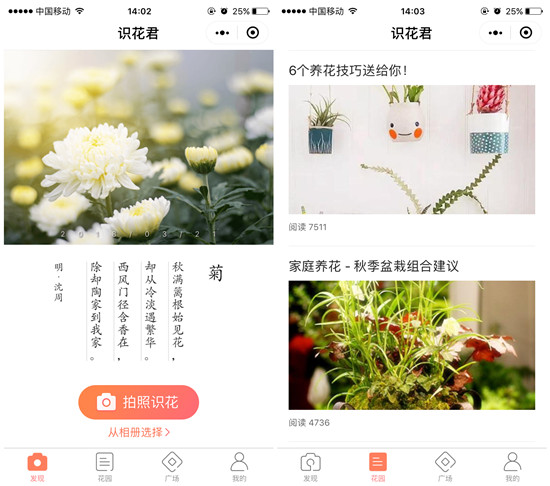 今日春分丨序多多有一份小程序福利包送给你，主题：浪！