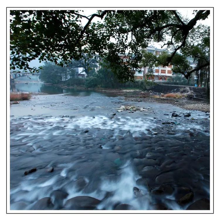 西浦村状元叫什么,西浦状元故里