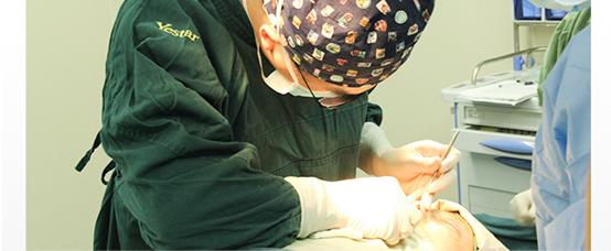 花了30万整的鼻子,花了10万整的鼻子