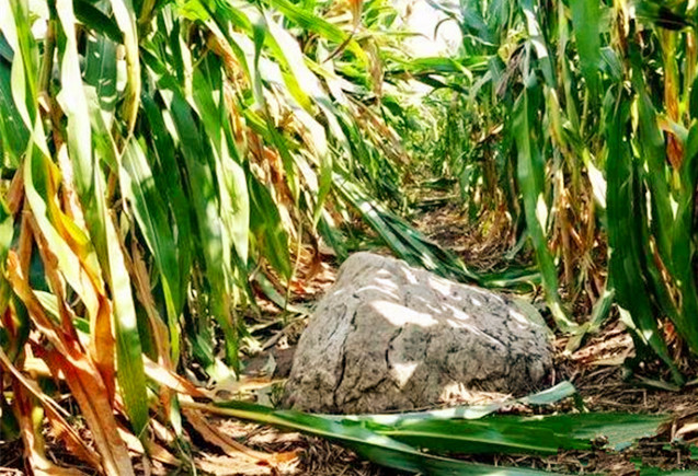 山东寿光世界第一矮山,山东寿光境内最高峰