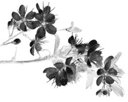 北京小央美国学未来馆,为爱前行,全国开放加盟~