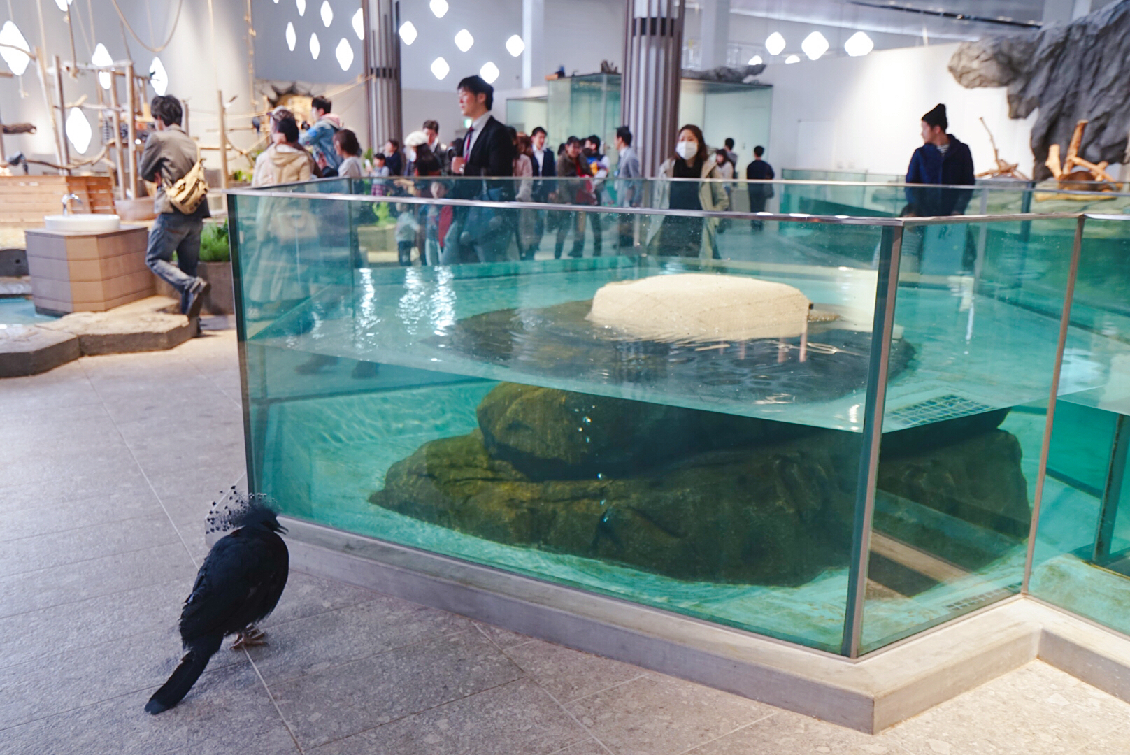 日本大阪之旅感受,日本自由行大阪游记